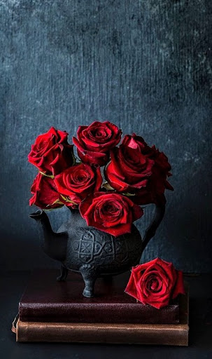 Android application Red Rose Wallpapers screenshort