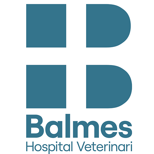 Balmes Hospital Veterinari logo