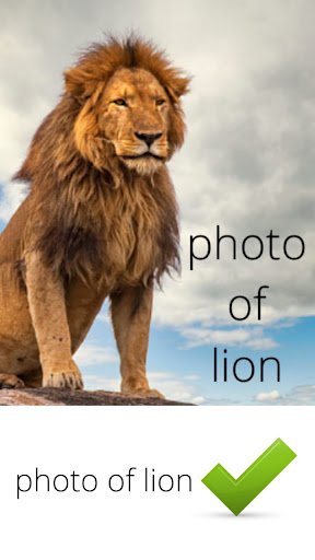 Photo of lion