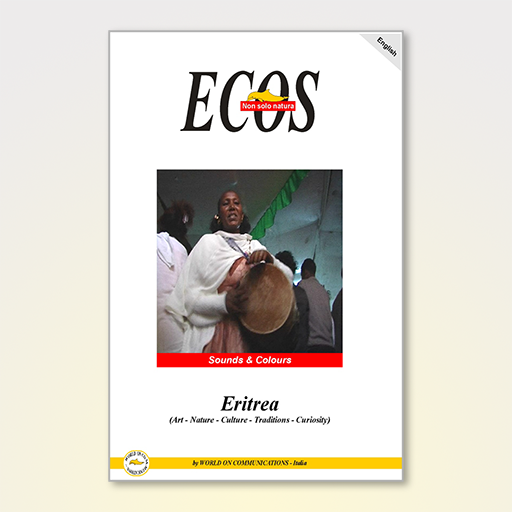Sounds and Colours - Eritrea 1 logo