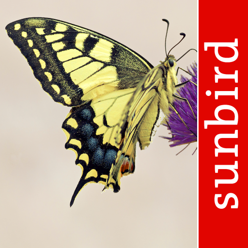 Schmetterling Id - Tagfalter 1.4 Icon