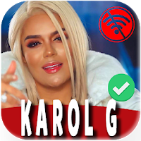 Karol G Songs 2020 Without internet