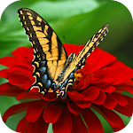 Cover Image of Unduh Nature Images  APK