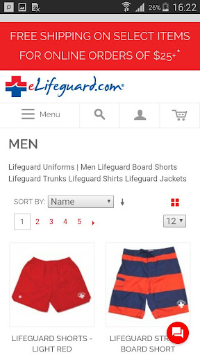 eLifeguard.com Screen 2