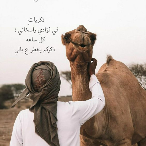 خلفيات البر logo