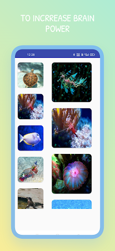 Puzzles for kids Ocean Animals Screen 3