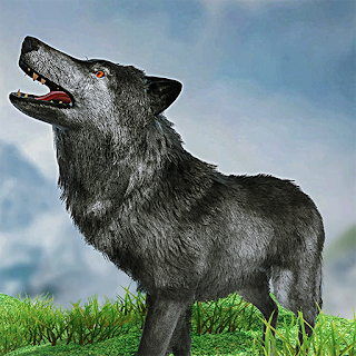 Wild Wolf Games Simulator 3D