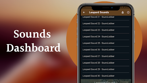 Leopard Sounds Screen 2