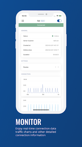 Teltonika RMS VPN Screen 2