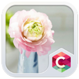 Romantic Pink Flower Theme HD icon