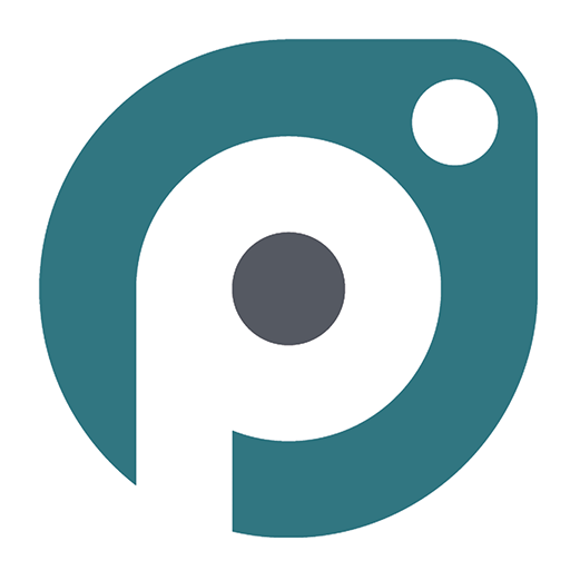 Picstructions logo
