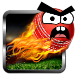 Cover Image of Download Angry Cricket Arcade Style  APK
