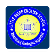 Little Birds English School