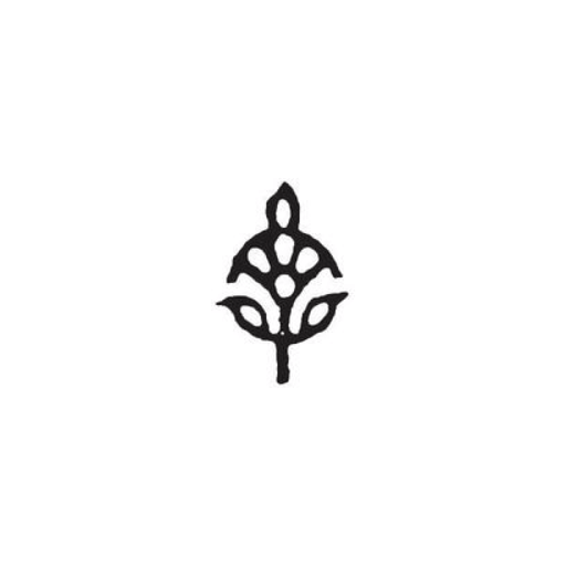 Cotton Curio logo