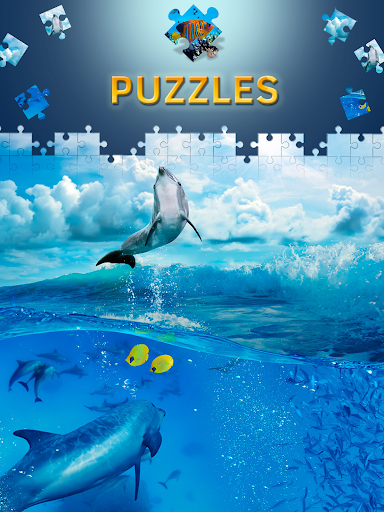 Free Dolphin Jigsaw Puzzles Screen 3