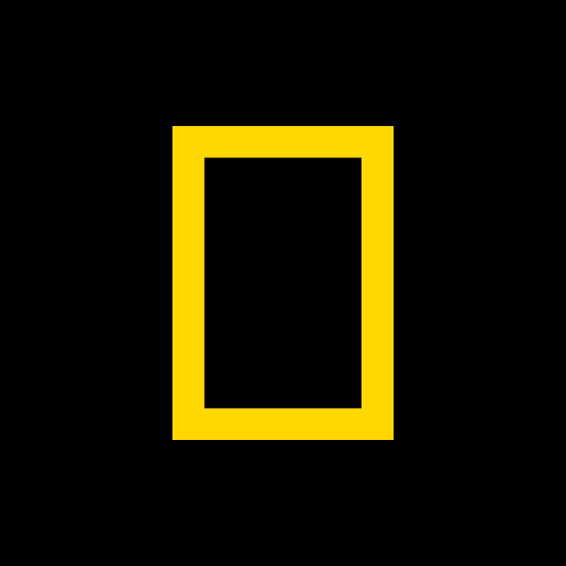 National Geographic  Icon