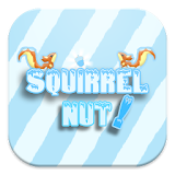 Squirrel Nuts Run icon