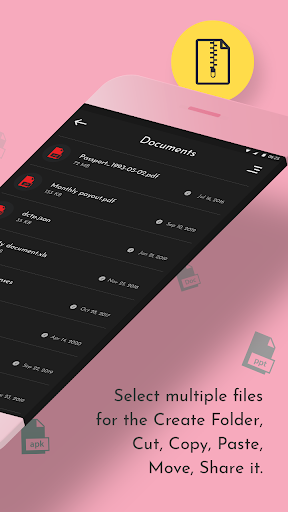 File Organizer  File Explorer