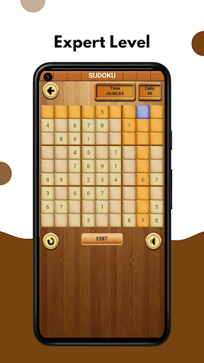 Sudoku Advance Puzzles Screen 3
