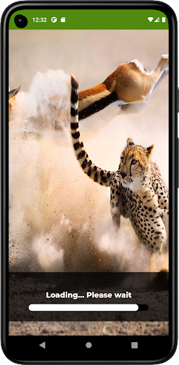 Animal Documentary Screen 3