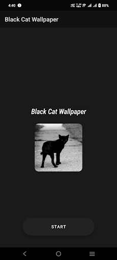 Black Cat Wallpaper Screen 2