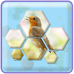 Hexagon Jigsaw Puzzles