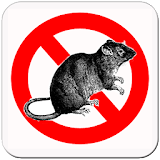 Anti Rat Pro icon