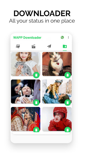 WozBox - Status Saver, WebScan Screen 3