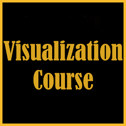 Icon image Visualization Course