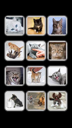Android application Звуки кошек: мурчание, мяу кот screenshort