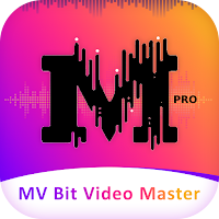 MVbit Master Video status