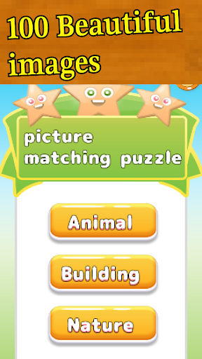 Picture Matching Puzzles Screen 3