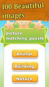 Picture Matching Puzzles
