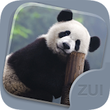 ZUI Locker Theme - Panda icon