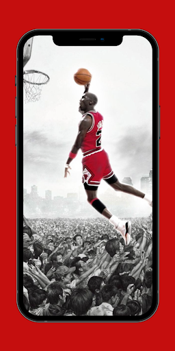 Chicago Bulls Pics Screen 2