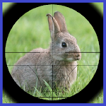 Cover Image of 下载 Rabbit Hunter  APK