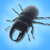 Bug Collector: Insect War icon
