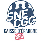 SNE-CGC CEBFC icon