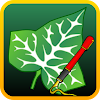 Ivy Draw: Vector Drawing icon