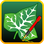 Cover Image of Download Ivy Draw: Vector Drawing  APK