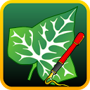 Baixar Ivy Draw: Vector Drawing Instalar Mais recente APK Downloader