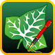 Ivy Draw: Vector Drawing Download on Windows