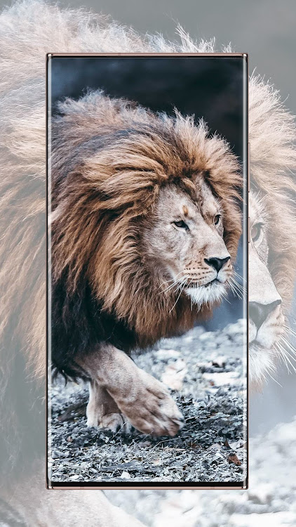 Lion Wallpaper - 3.0 - (Android)