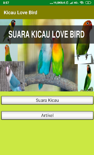 Android application Suara Kicau Love Bird Juara screenshort