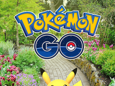 √完了しました！ ポケモン life 128672-ポケモン lifedew