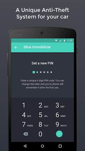 iBlue Immobilizer Screen 2