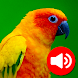 Animal sound ringtone - Androidアプリ