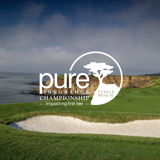 2024 PURE Insurance logo