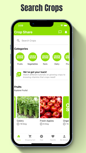 Crop Share Screen 2