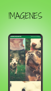 Pitbull Dog Pictures 2.5.0 APK + Mod (Free purchase) for Android